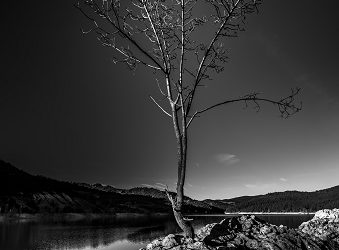 Carlos González Puebla, mejor colección fotográfica, y Guillermo Galiana, mejor Documental con Dron, vencedores de los Concursos de la MAS 2020