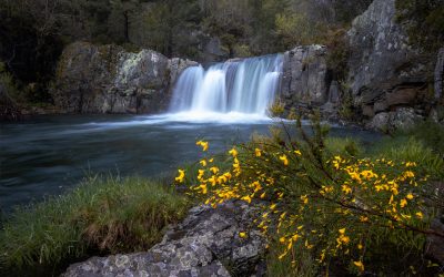 El vídeo “Somos agua” de Fernando Gómez y la colección de imágenes de Jesús Foguer, vencen en la IV edición del concurso de Mini Documental                                                          y Fotografía “El agua en el espacio MAS”